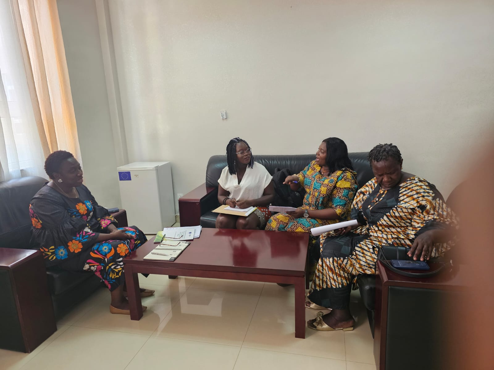 Meeting with the Minister of Social Communication Mrs. Conceica-Evora-Guinea-Bissau.jpeg