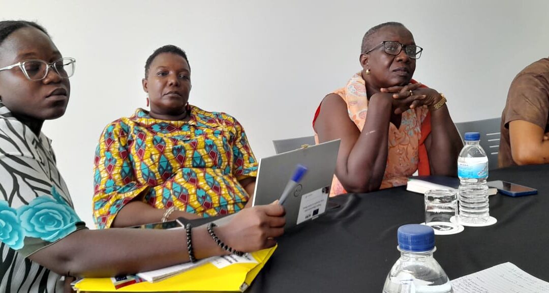 Strengthening Press Freedom and the Safety of Journalists in Guinea-Bissau