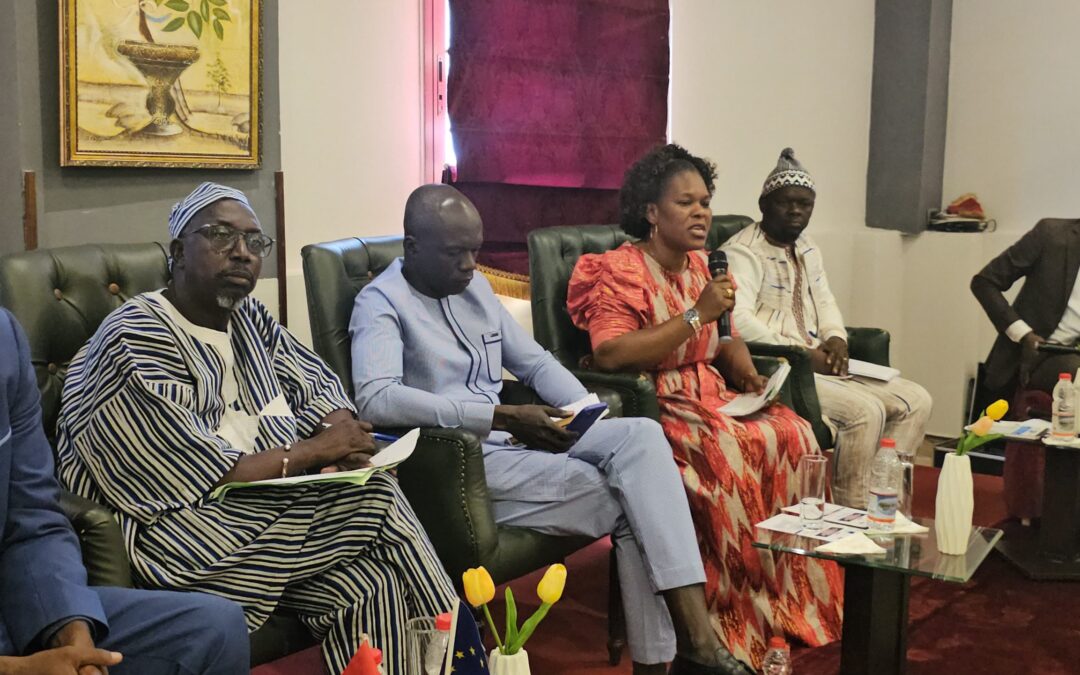 Guinea-Bissau actors call for political reforms on media independence to protect freedom of expression