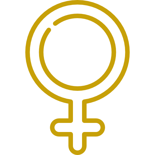 Mulheres nos media